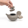 Teapot with hemispheres