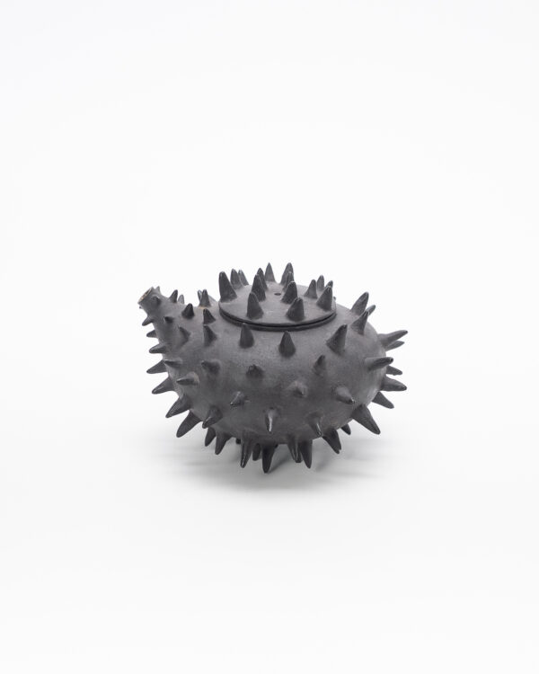 Teapot with thorns (Pre-order only)