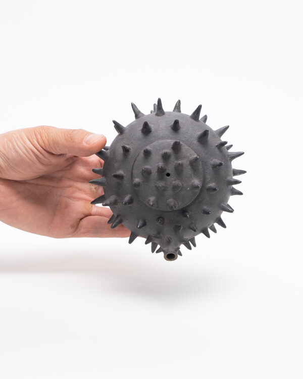Teapot with thorns (Pre-order only)