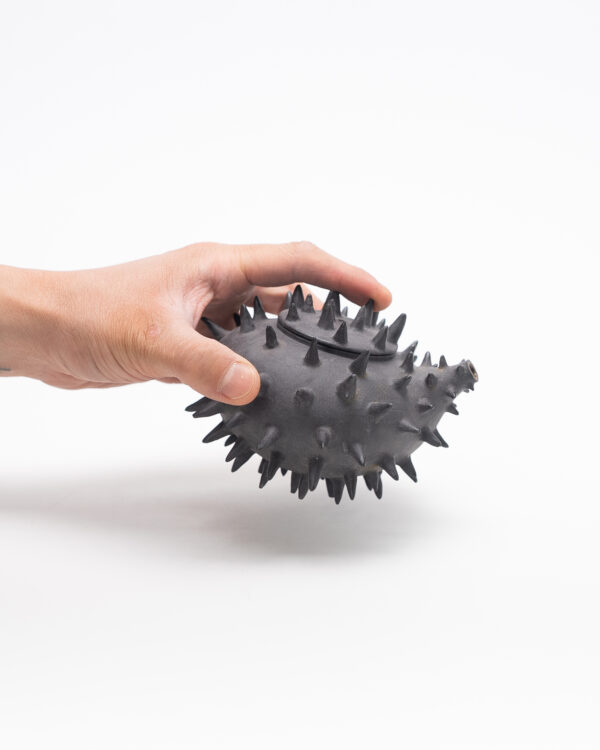 Teapot with thorns (Pre-order only)