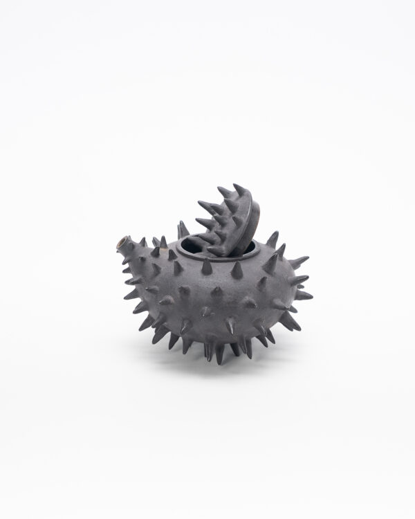 Teapot with thorns (Pre-order only)