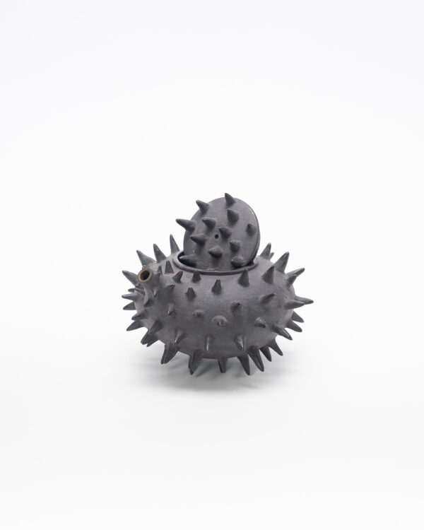 Teapot with thorns (Pre-order only)