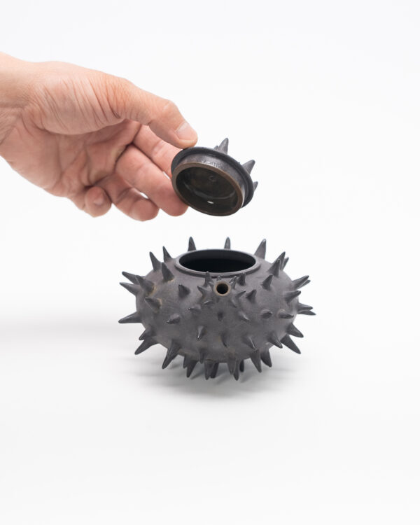 Teapot with thorns (Pre-order only)
