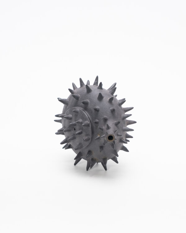 Teapot with thorns (Pre-order only)