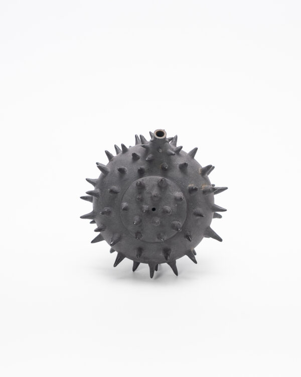 Teapot with thorns (Pre-order only)