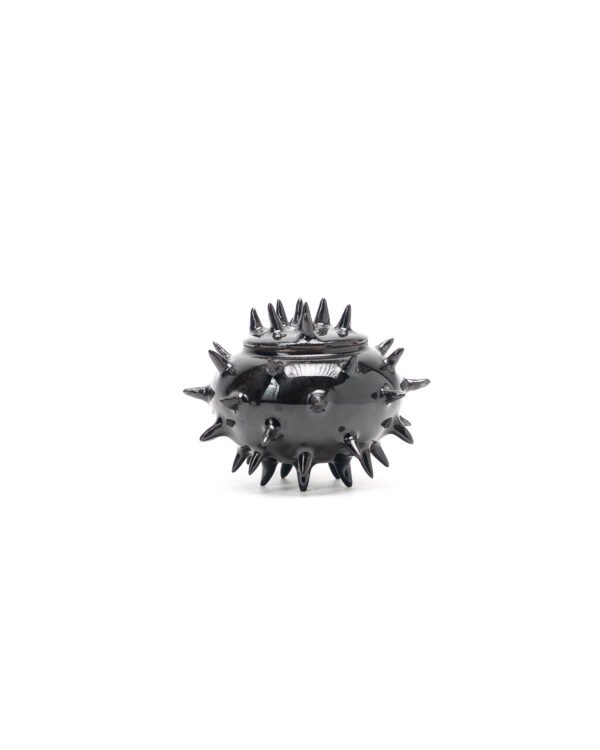 Mini Teapot with thorns (black)