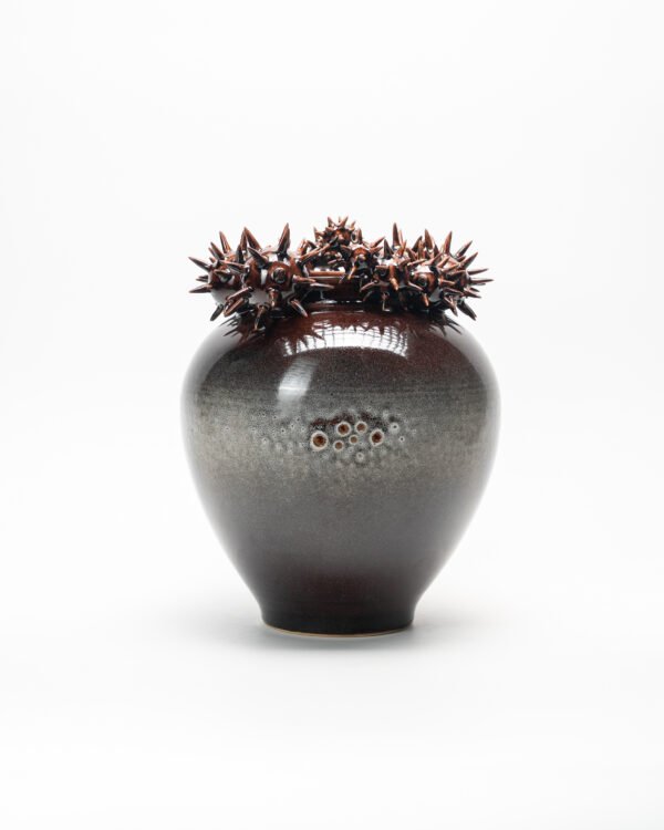 DSC06393 Vase with spiked spheres No.1