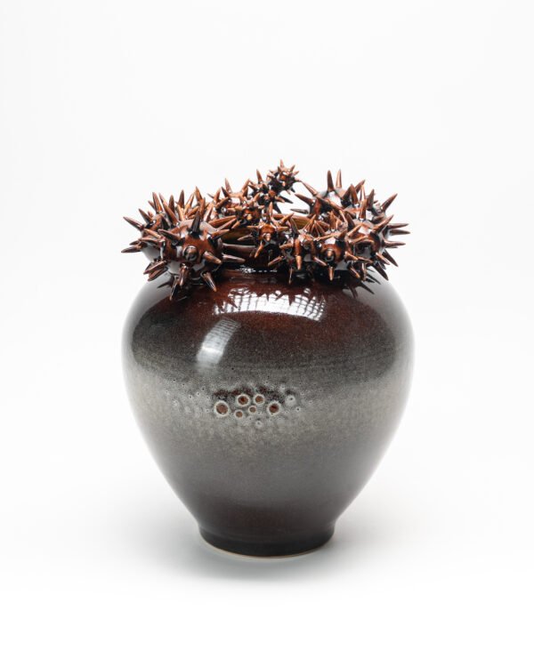 DSC06394 Vase with spiked spheres No.1
