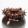 DSC06395 Vase with spiked spheres No.1