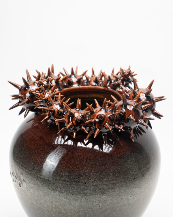 DSC06395 Vase with spiked spheres No.1