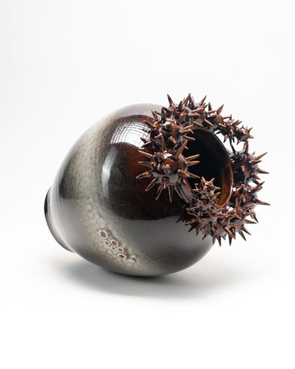 DSC06398 Vase with spiked spheres No.1