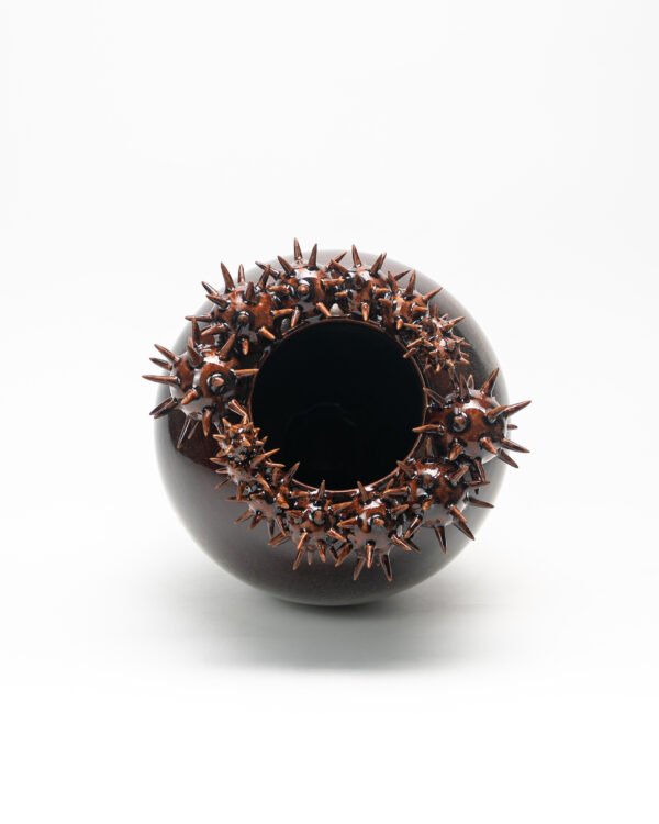 DSC06399 Vase with spiked spheres No.1